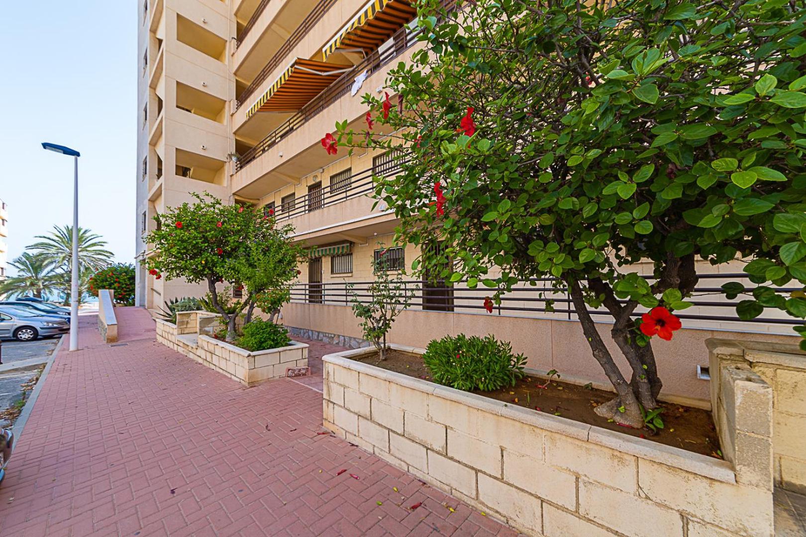 شقة Miramar Magic Sea & Sunrise View تورّيفيِخا المظهر الخارجي الصورة